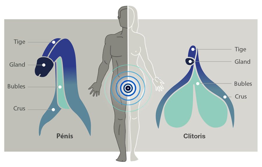 Arcwave Ion par We-Vibe