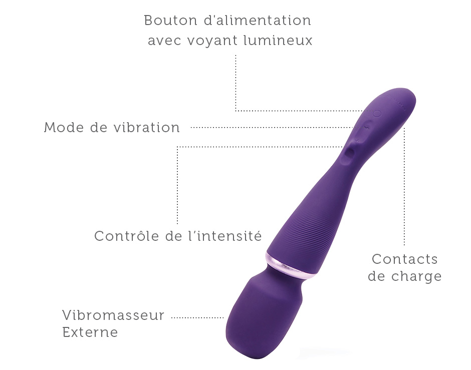 We-Vibe Wand