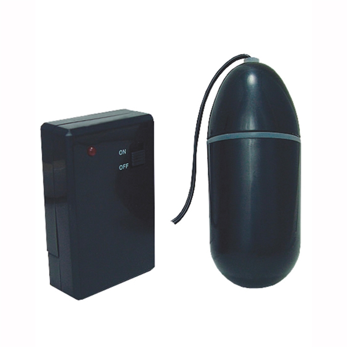 remote control bike bullet
