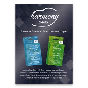 Picture of HARMONY DAM CARD FRENCH